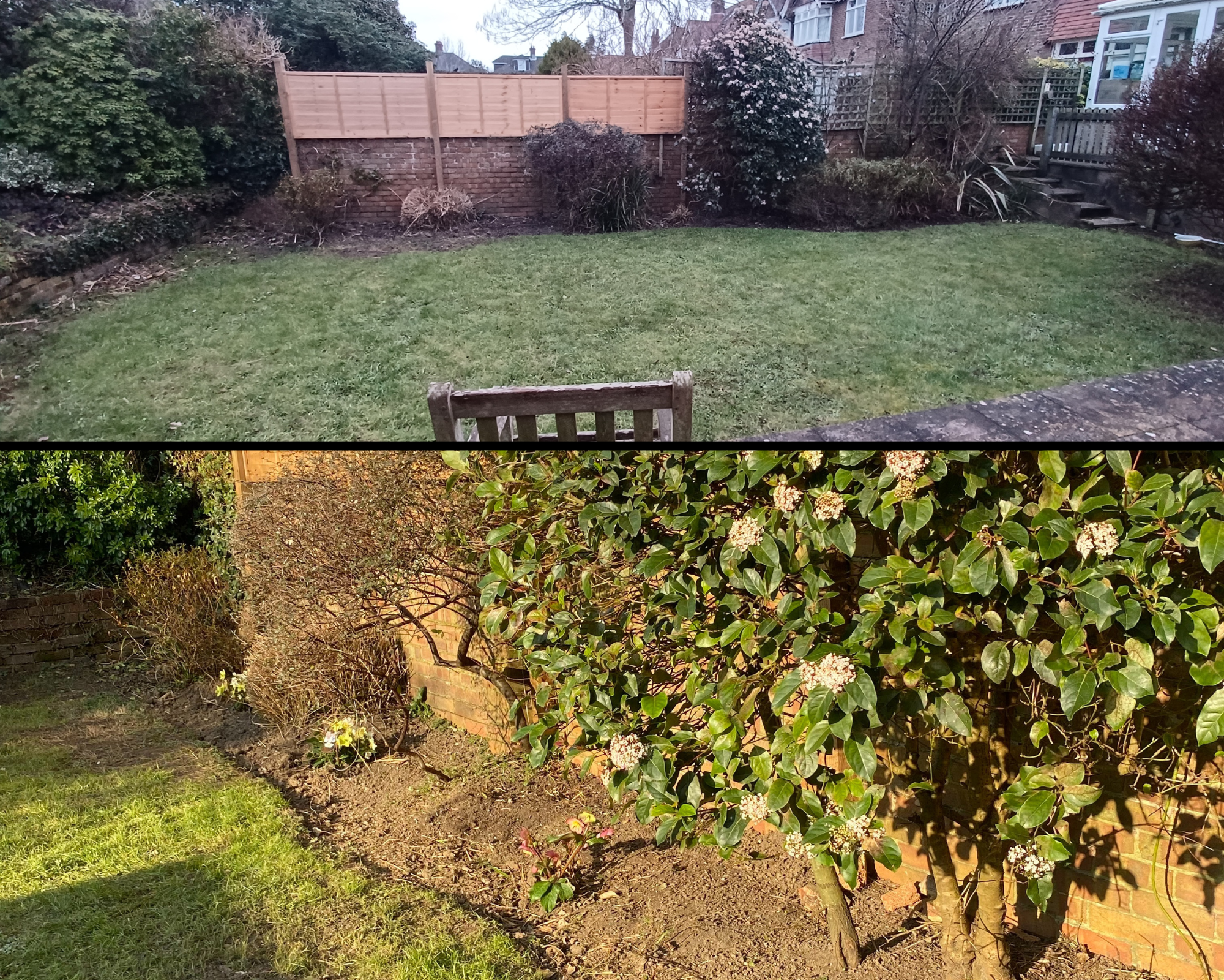 before and after 