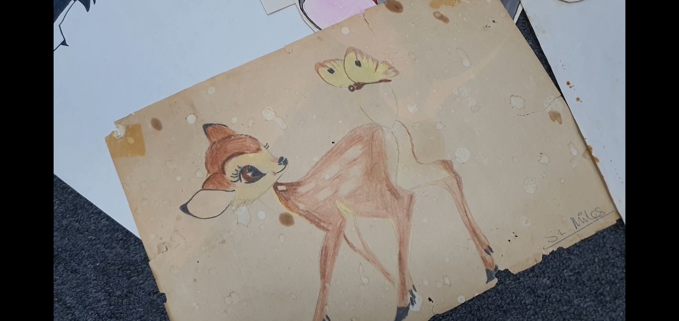 A drawing of Bambi by Sue Morgan